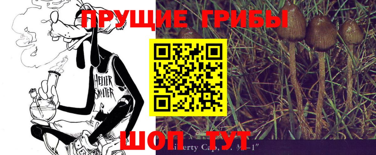 Галлюциногенные грибы Magic Shrooms  Вход с VPN  Галлюциногенные грибы Psilocybe  как найти закладки  Орехово-Зуево 